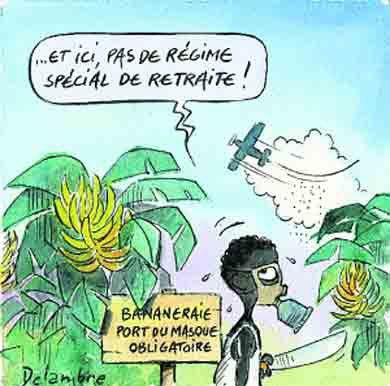 bananes-pesticides.jpg