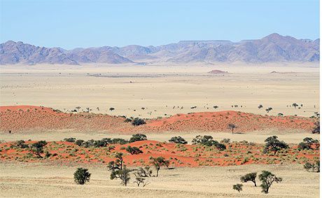 desert-Namibie.jpg