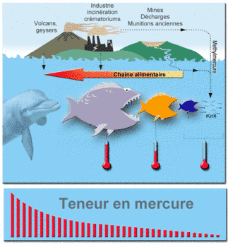 pollution-mercure.png