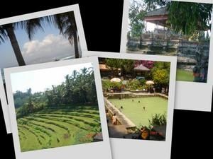 bali-2.jpg