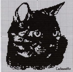 chat-noir-1007.JPG