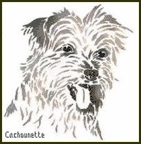 2502-chien.jpg
