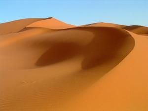 sahara.jpg