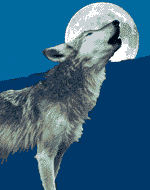 Wolf-03.gif