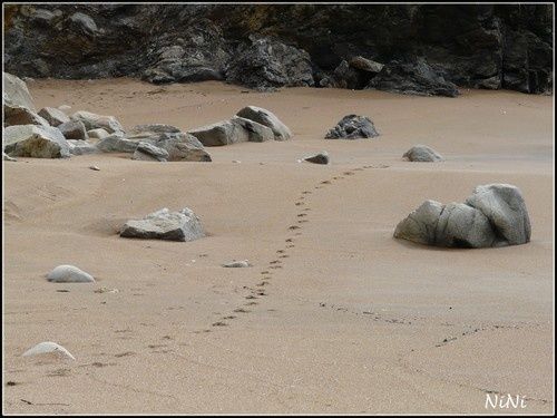 trace sur la plage