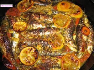 Plat de sardine à la tomate au four -