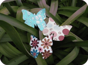 IMG_0255.gif