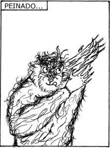 croppeinado-copy.jpg