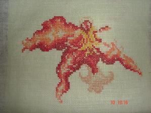 fleurs-024.jpg