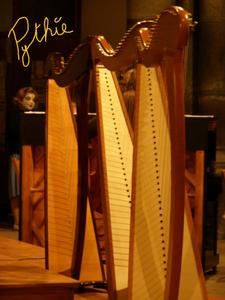 harpes.JPG