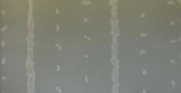 toile.jpg