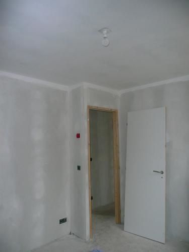 plafond-loup.jpg