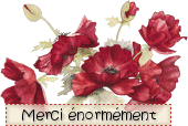 mercienorme.gif