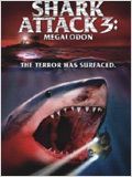shark-attack-5.jpg