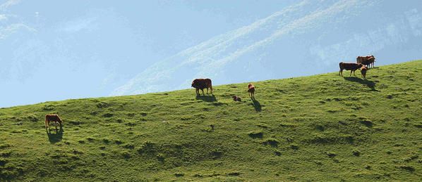 chalais-copie-1.jpg