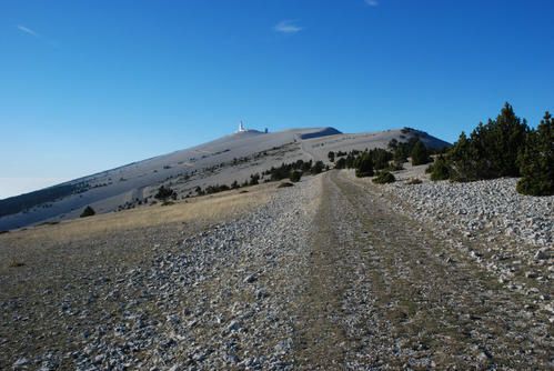 ventoux-copie-1.jpg