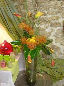 arums oranga, sophie pillons, calixte boutique, protéa nutance, décoration, fleuristes, périgueux, dordogne, fleuriste périgueux, 24, 33, 46, 86