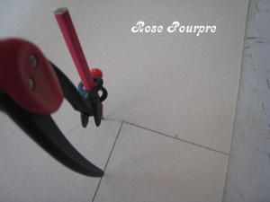 IMG-0443.jpg