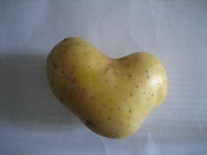 cuore-2.jpg