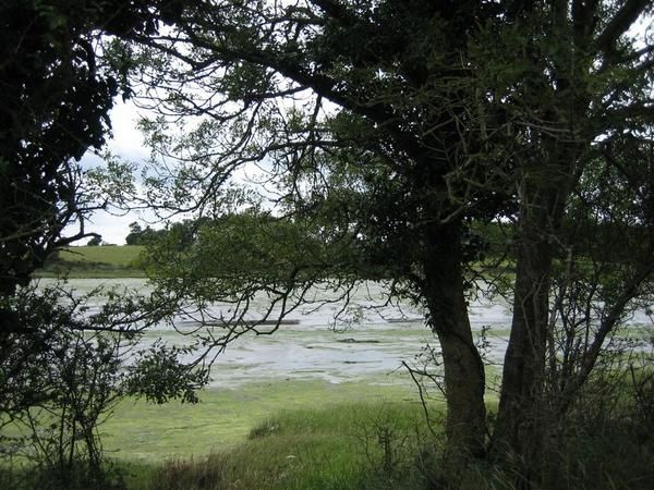 IMG-4320.JPG