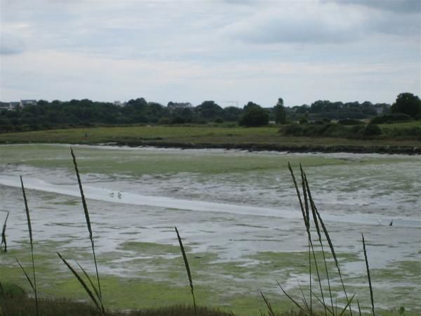 IMG-4322.JPG