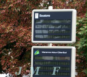 img-0374-border.jpg