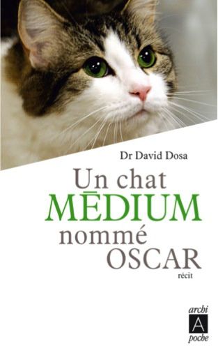 Un-chat-medium.jpg