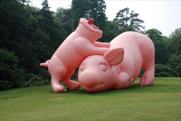 Cochons