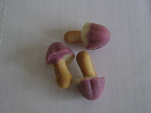 Kinoko-raisin-008-p-.jpg
