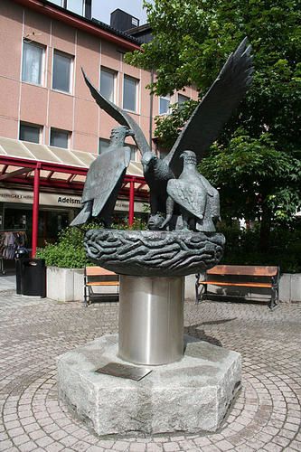 Aigle-de-mer.jpg