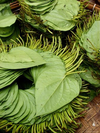 Betel.jpg