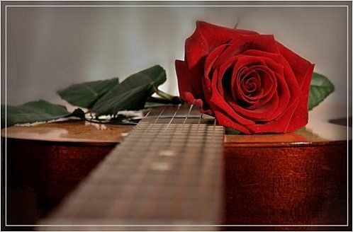 rose-et-guitare.jpg