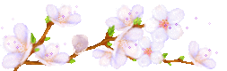 BrancheBlanche1.gif