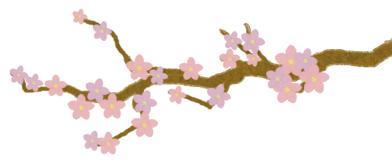 Cherry-blossom.gif