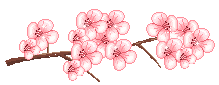 CherryBlossoms-copie-1.gif