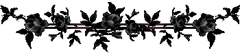 Noir.gif