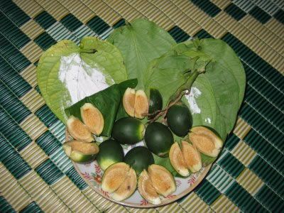 Chique_de_betel.jpg