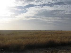 IMG_3730Bis.jpg