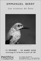 emmanuel-berry---les-oiseaux-de-sens---culturecie.com---expo-photo-4.jpg