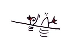 canard-nage.jpg