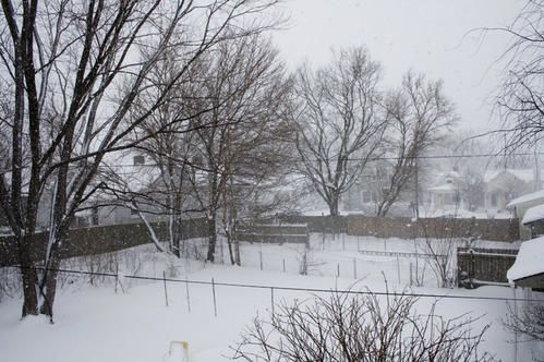 neige2.jpg