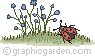 coccinelle---herbe.gif