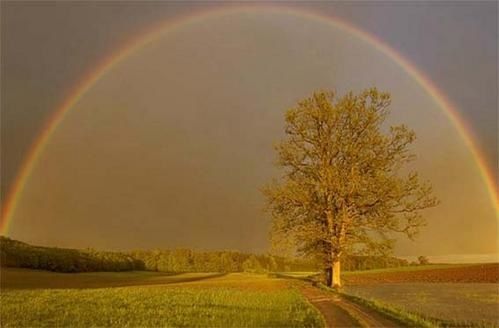 la-nature.jpg