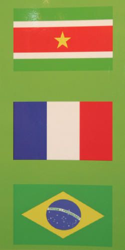 drapeau.jpg