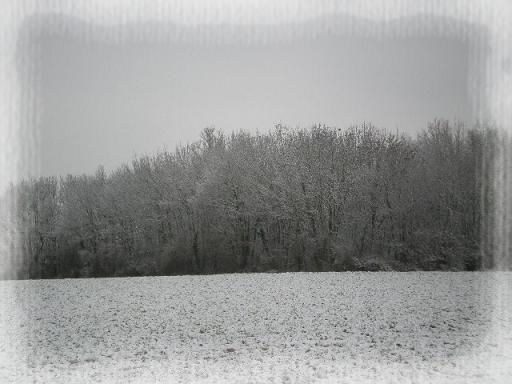 Février 2012 Neige (1)
