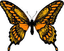 papillon-orange.gif