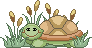 tortue.gif