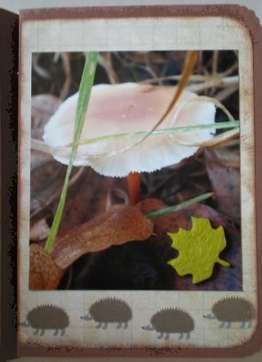 Mini balade d'automne (10)