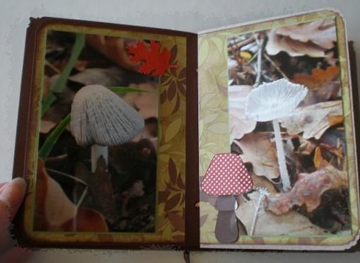 Mini balade d'automne (11)