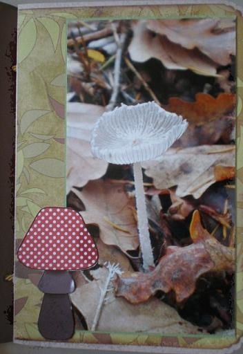 Mini balade d'automne (13)